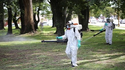 Control estratégico de plagas en empresas con equipo de protección completo
