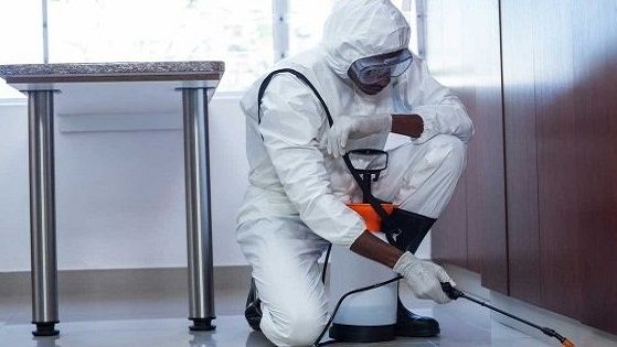 Equipo de técnicos desinfectando corredor de empresa