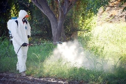 Técnico realizando control de plagas en exterior de instalación