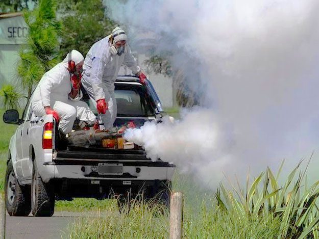 Control de mosquitos, técnico con equipo de fumigación en exterior